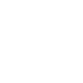 8Punisher8's emblem