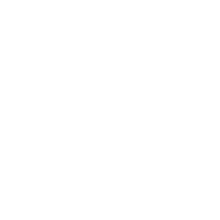 p4ran0idone's emblem