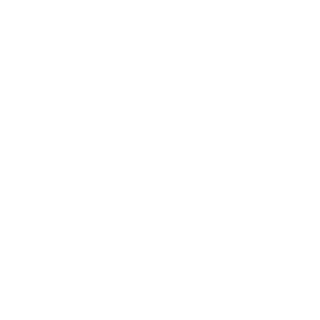 PsychicBasher06's emblem