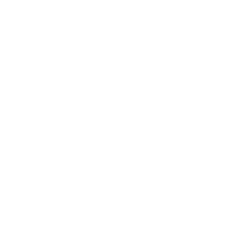 DeepColori's emblem