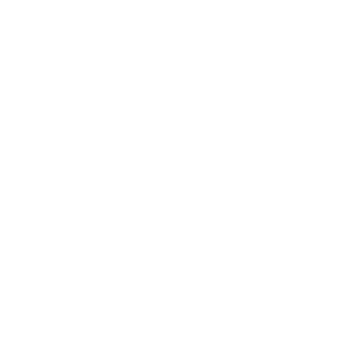 CodeLinkZ's emblem