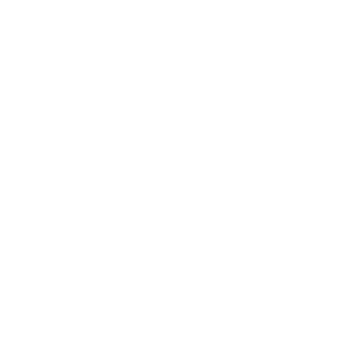 nenucojunior's emblem