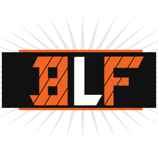 DR4GON_GER's emblem
