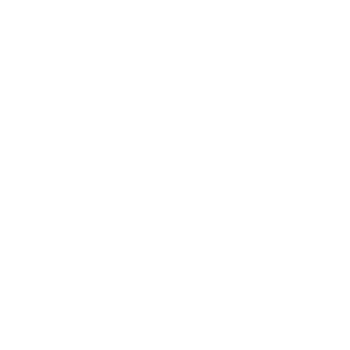 Stargazer-Ger's emblem