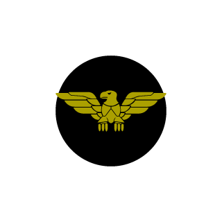 YoIoSwag420's emblem