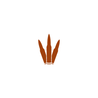 sarapo1972's emblem