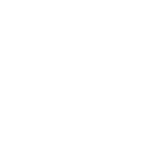 JunkyBeach's emblem