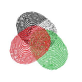 elpulporojo's emblem