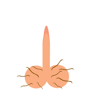 Kaptain_Keilbasa's emblem