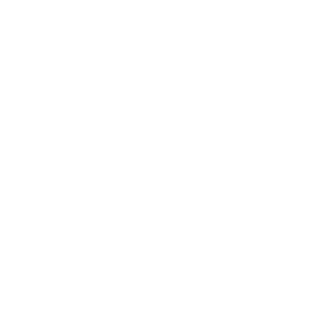 polestar_NL's emblem