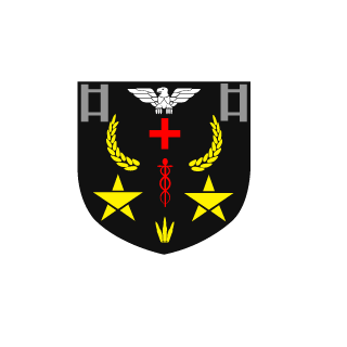 painzz224's emblem