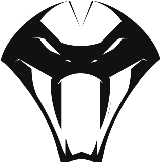 Ske1ly's emblem