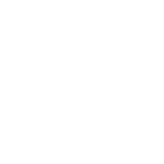IZEROIgamesense's emblem