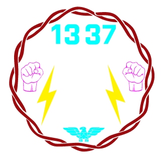 its_N3xus's emblem