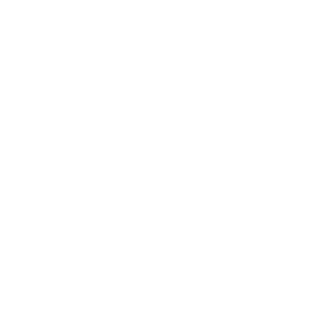 Binizap's emblem