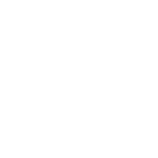 NemViuDeOnde's emblem