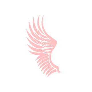 BlackDragon11012's emblem