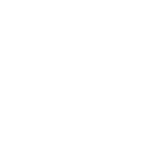 RainForest64's emblem