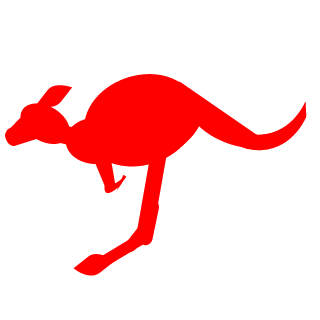 Haynick898's emblem