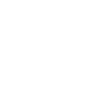 swendzomiegzibi's emblem
