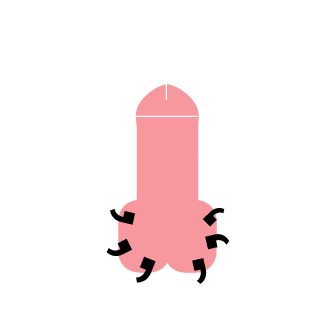 Nelz1893's emblem