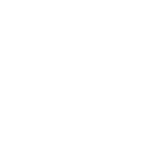 aViJ0Rus's emblem