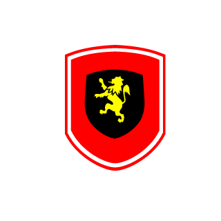 NUKE_SKIFCHA's emblem