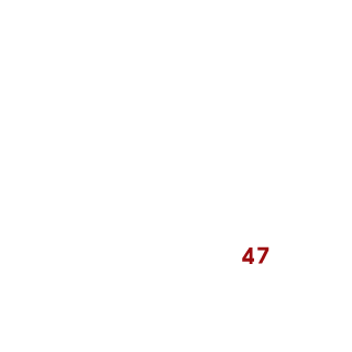 Mohammad0147's emblem