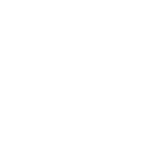 2005skeleton's emblem