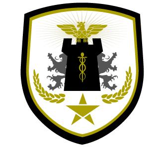 DarkEntity96's emblem