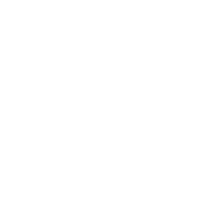 NosefretS's emblem