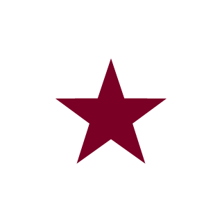 TerminatorDen's emblem