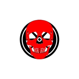 Rio7Sky's emblem
