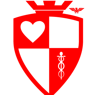 Raf1256's emblem