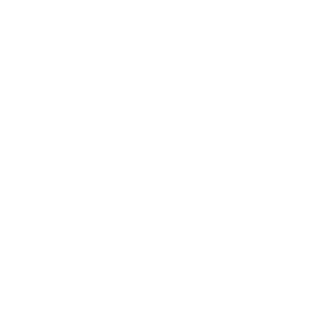 -NX-QIHANG's emblem