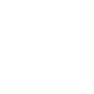 freedomsoulRUS's emblem