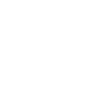 tehskull's emblem