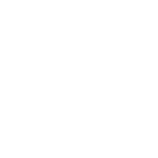 Airshoot's emblem