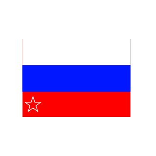 Lostik27's emblem