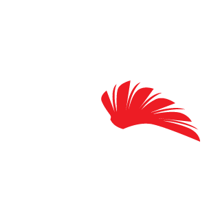 JaBBsn's emblem