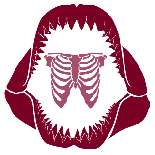 yaomingdingdingd's emblem
