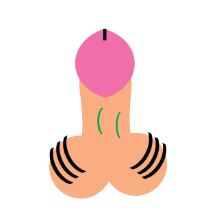 xViZUET---'s emblem