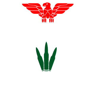 bendzsoo2's emblem