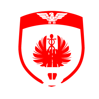 N4ceNobo281's emblem