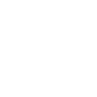 marlonslbr's emblem
