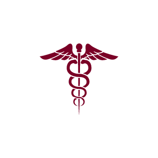 __SAIGSX__'s emblem
