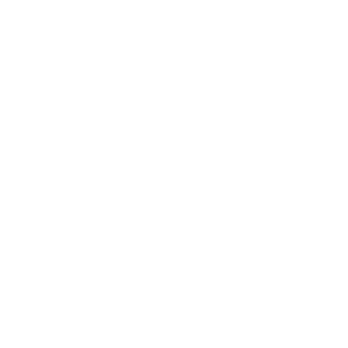 Vnav666's emblem