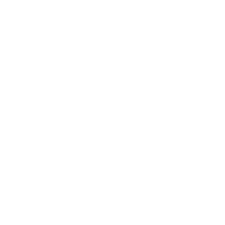 SlG17's emblem