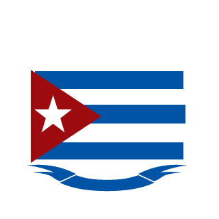 d5fc5439b8fbcc46's emblem