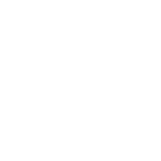 DollyAmiguinho's emblem